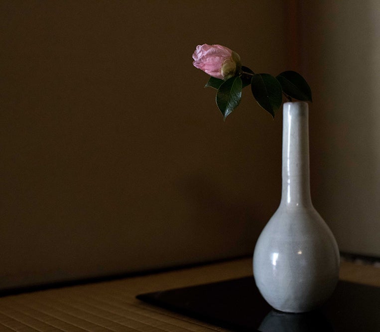 Home | uraku